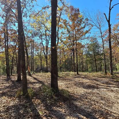 Cleared wooded property after land clearing service